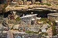 VBS_7195 - Arenzano Capodanno 2026